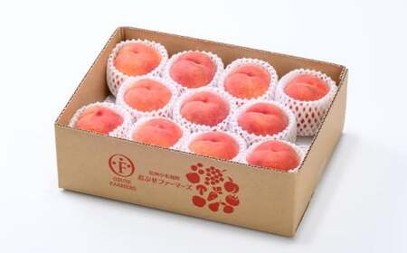 ワッサー 約3kg 7～12玉 ［おぶせファーマーズ］果物 フルーツ クール便 冷蔵便 長野県産 信州産 令和8年産【2026年8月上旬～下旬発送】［F-39］