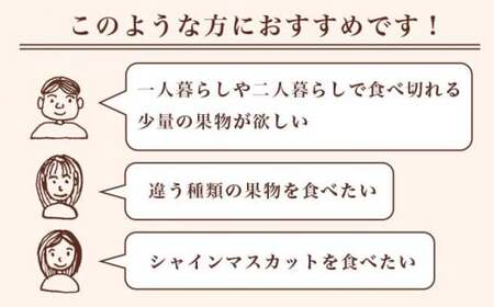 先行受付 蔵出し冬のシャインマスカット1房とふじりんご2玉のセット 約1.2kg ［小布施屋］フルーツ 果物 詰め合わせ 詰合せ 数量限定 シャインマスカット サンふじ 単身用 一人暮らし 2人暮らし 長野県産 信州産 令和8年産 【2026年12月中旬頃～2027年2月発送】［A-305］