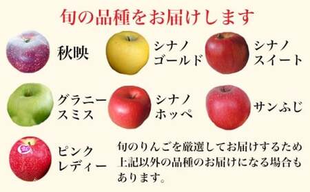 先行予約［訳あり］ 旬のりんご 約3kg 6～12玉 ［小布施屋］ 傷 規格外 不揃い 令和8年度産 【2026年10月配送】［A-304a］
