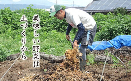 ［年8回定期便］ 農薬・化学肥料を使わずに栽培した野菜と減農薬栽培した果物 年8回定期便 OBUSE Meguru 野菜&フルーツセット シーズンコース［おぶせファーマーズ］おまかせ 野菜 やさい 詰め合わせ 8～12種類 果物 フルーツ 3種類 長野 信州 数量限定 産地直送 令和8年産 【2026年5～6月より順次発送予定】