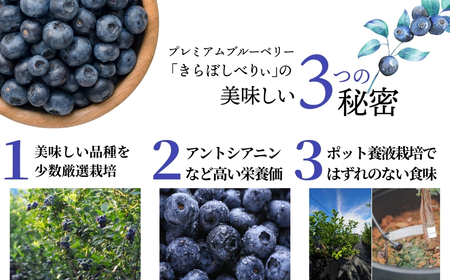 冷凍ブルーベリー 1.5kg（500g×3袋） きらぼしファーム ブルーベリー