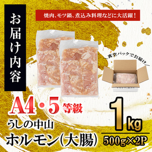 うしの中山 A4・A5等級黒毛和牛 ホルモン（大腸） 計1kg（500g×2袋）黒毛和牛 和牛 肉 牛肉 国産 九州産 鹿児島県産 ホルモン 焼肉 日本一 a5-347
