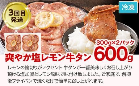 【3ヶ月定期便】牛肉 牛サガリ1.6kg 牛プルコギ1.2kg 牛タン600g 頒布会 お肉