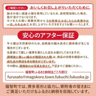Y61-01F 【ふるなびWEEK対象】博多若杉【訳あり】牛もつ鍋セット(2人前×5) 10人前 もつ鍋