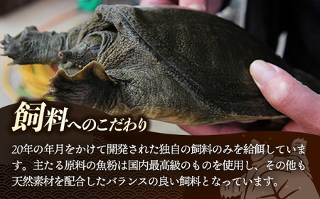 美味益気寿すっぽんスープ190g【15缶】 スッポン 化学調味料不使用 使いやすい ストック 岩手県 岩手町 イワタニ