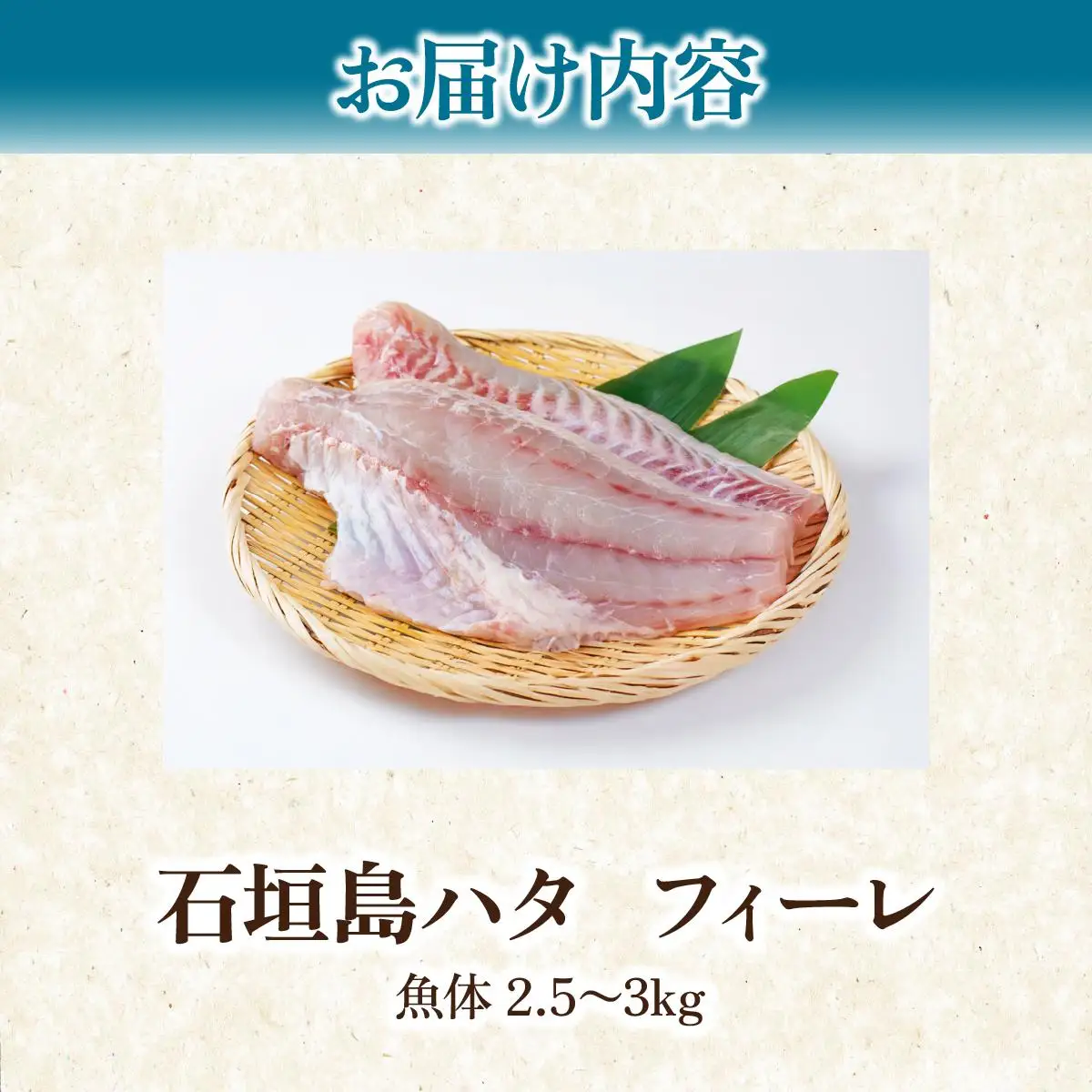 石垣島 ハタ フィーレ