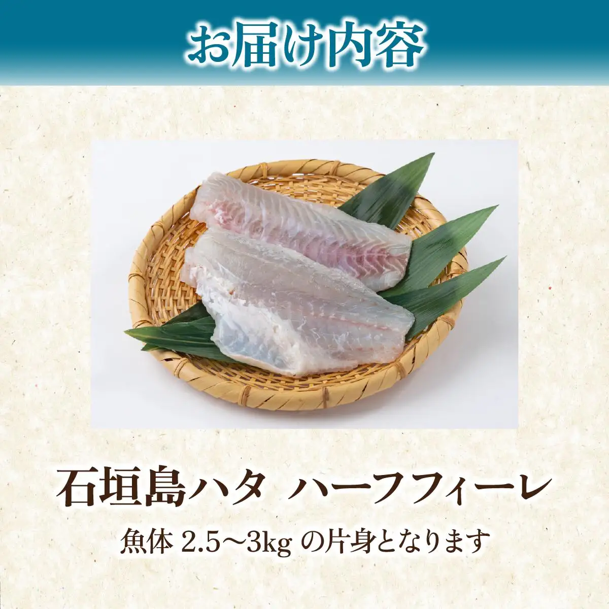 石垣島 ハタ ハーフフィーレ