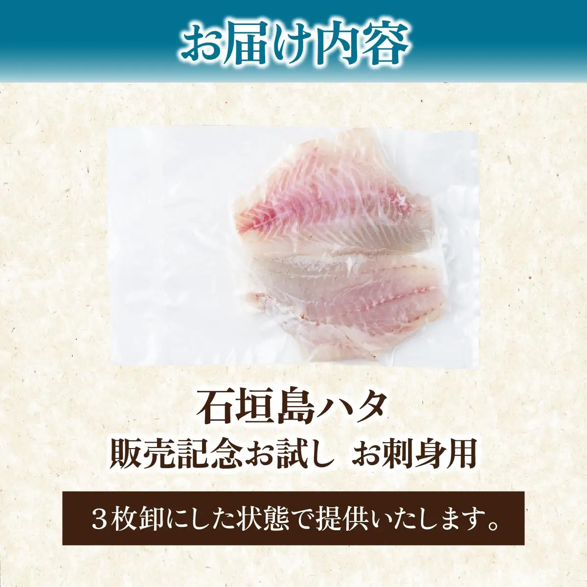 石垣島 ハタ 販売記念お試しお刺身用 
