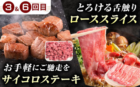 【6回定期便】肉のキング 飛騨牛満喫セット / 飛騨牛 サーロイン ステーキ 肉 詰め合わせ セット 岐阜県 / 御嵩町 / 肉のキング[AVAG020]