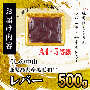うしの中山 A4・A5等級黒毛和牛 レバー 500g（500g×1P）黒毛和牛 和牛 肉 ホルモン 国産 九州産 鹿児島県産 焼肉 炒め物 牛レバー 冷凍 日本一 p9-034
