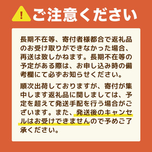 コクヨキャンパスノート・A5・A罫20冊　BB31