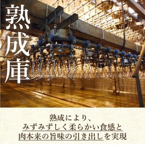 地養鳥 むね肉 2kg 国産 徳島県産 やわらか 鶏肉【 鶏肉 】