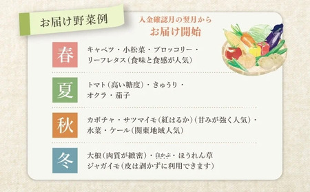 野菜 定期便 3回 オーガニック 野菜詰め合わせ セット