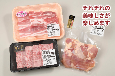 佐賀焼肉セット(牛・鳥・豚) 750g(H123112)