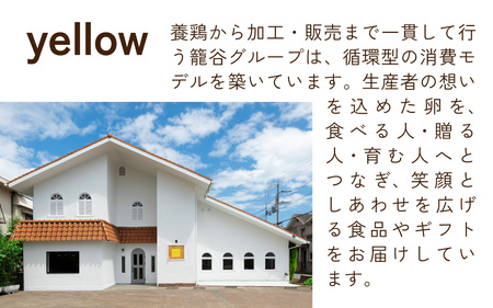 yellowジェラートセット ジェラート 8種 8個 （1個 120ml） hyogo special selection / ジェラート アイス アイスクリーム スイーツ カップアイス カップ カスタード ブルーベリー きな粉 クリームリーズ お菓子 ギフト プレゼント