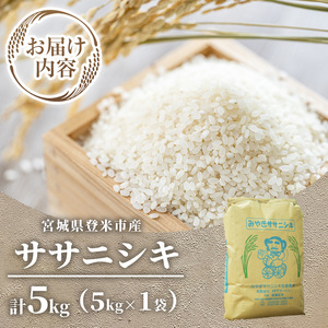 ≪令和7年産≫ 登米市産 ササニシキ 5kg (5kg×1袋) お米 おこめ 米 コメ 白米 ご飯 ごはん おにぎり お弁当【有限会社PFTサービス】tm477