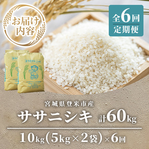 ≪6ヶ月定期便≫ 登米市産 ササニシキ 60kg (10kg×6回) お米 おこめ 米 コメ 白米 ご飯 ごはん おにぎり お弁当 頒布会【有限会社PFTサービス】tm479