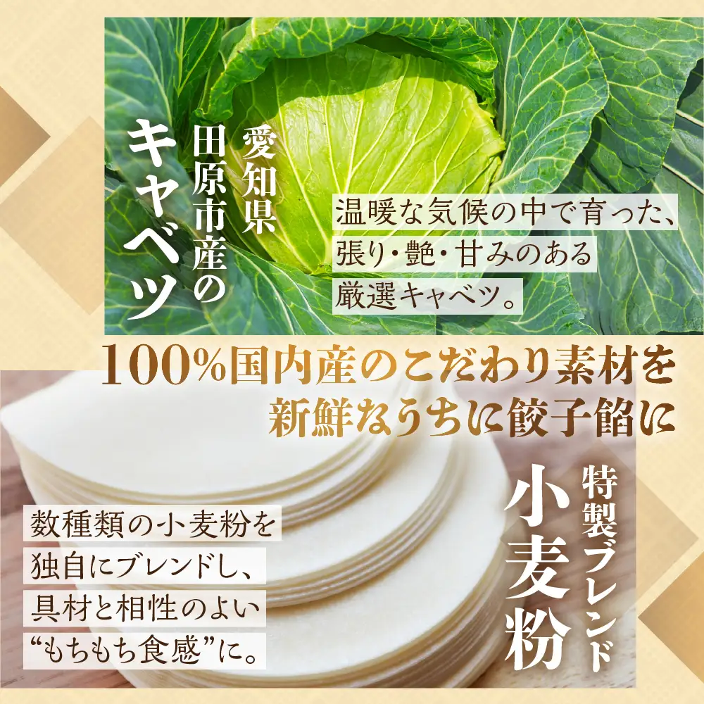 生餃子専門店新家 餃子 80個 