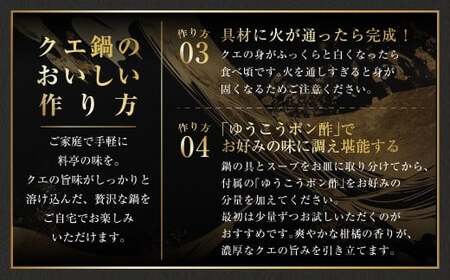 【14営業日以内発送】長崎県産 天然クエ鍋セット （3人前） 長崎県産 ゆうこうポン酢 2種付 ／ ポン酢付き クエ鍋 海鮮鍋 クエ くえ 魚 アラ 切り身 鍋セット セット 九州 長崎県 長崎市 冷凍