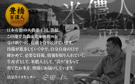 米 令和7年産 白銀の穂 10kg 白米