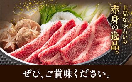 あか牛肩ロース しゃぶしゃぶ・すきやき用 500g 株式会社ドクタージュ《30日以内に出荷予定(土日祝除く)》熊本県 南阿蘇村 熊本県産 あか牛 肩ロース しゃぶしゃぶ すきやき すき焼き 牛肉