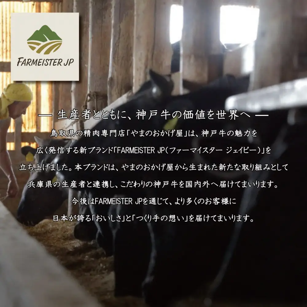 神戸牛 ブリスケスライス500g【うすなが牧場】FU2