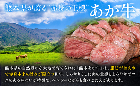 馬刺し赤身100g+あか牛肩ロース しゃぶしゃぶ すきやき用 500g 株式会社ドクタージュ《30日以内に出荷予定(土日祝除く)》熊本県 南阿蘇村 熊本県産 あか牛 肩ロース しゃぶしゃぶ すきやき すき焼き 牛肉
