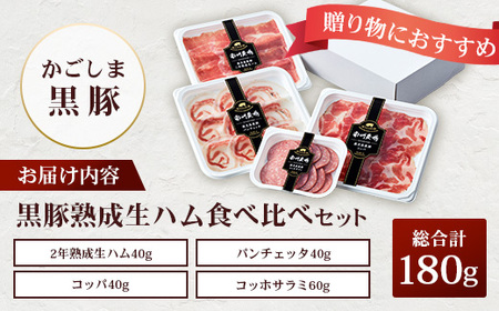 南州農場 黒豚熟成生ハム 4種食べ比べ セット 冷蔵 NS-9 | 国産 肉 お肉 豚肉 豚 にく ぶた かごしま黒豚 生ハム 最高峰 熟成ハム コッパ パンチェッタ コッホサラミ スパイス サラミ 詰め合わせ 産地直送 ギフト プレゼント 贈り物 鹿児島県 南大隅町