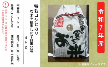 特栽コシヒカリ 精米 白米（玄米5㎏ 精米したて白米発送） こしひかり