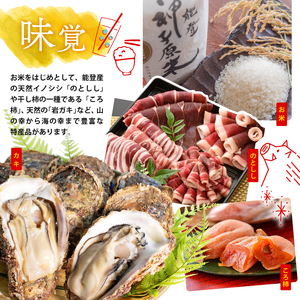 木製 ミニカーケース 8×6マス （最大96台収納可能） 扉付き ミニカーケース