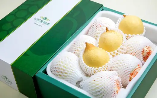 鴨梨（ヤーリー） 6～12玉 合計約4.5kg 贈答箱 なし 梨 ナシ 果物 フルーツ 果実 岡山県 倉敷市【2026年11月下旬～12月下旬迄順次発送予定】