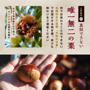 【先行予約】天使の甘栗 和栗焼き栗900g | 栗 甘栗 国産和栗 自然の甘み 無添加おやつ 焼き栗900g やさしい甘さ 大分県 中津市
