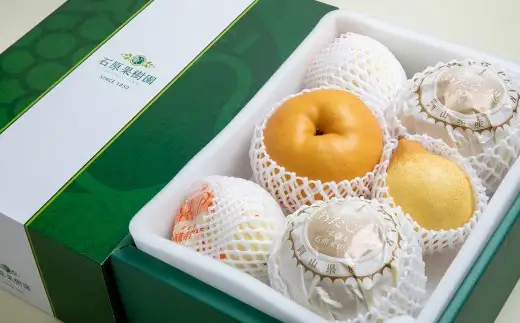 あたご梨・鴨梨（ヤーリー）詰合せ 合計約4kg 化粧箱 なし 梨 愛宕梨 ナシ 果物 フルーツ 果実 岡山県 倉敷市【2026年11月下旬～12月下旬迄順次発送予定】