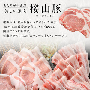桜山豚 生ソーセージセット｜ 豚 ブランド 銘柄豚 ソーセージ タキザワハム 栃木