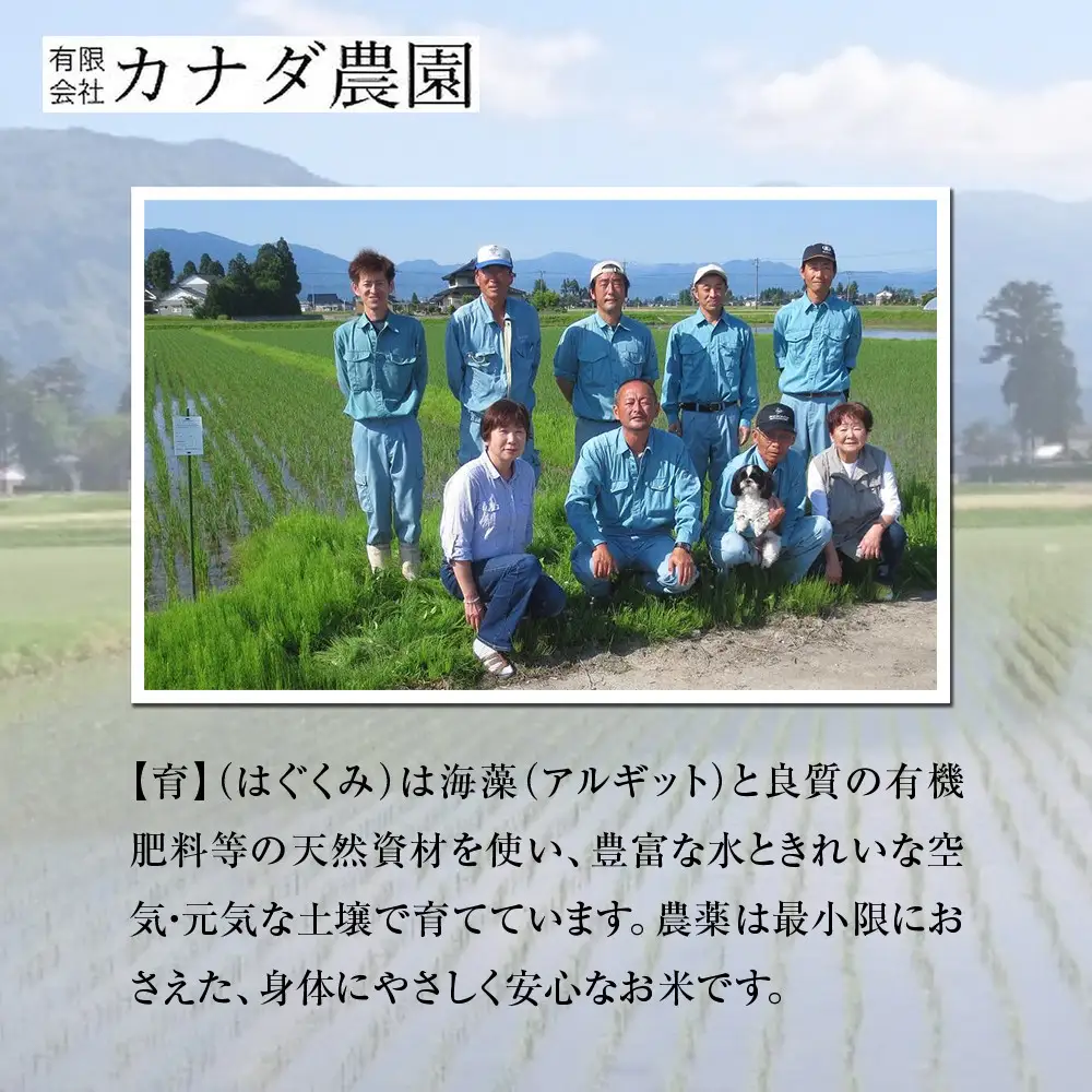 【令和7年産】定期便・隔月６回  富山県産こしひかり 育（はぐくみ）玄米３０kg《南砺の逸品》