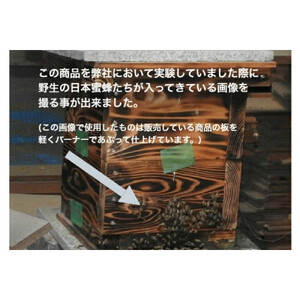 天然杉材を使った自分で組み立てるミツバチ巣箱（胴体部）