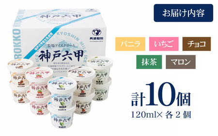 【安定剤・着色料不使用】 共進牧場 牧場アイスクリーム 10個 神戸六甲 アイスギフトセット ／ 人気 こだわり プレミアム 贅沢 濃厚 コク 酪農家 生乳 バニラ いちご チョコ 抹茶 マロン 牧場 夏 おやつ 菓子 お取り寄せ お菓子 洋菓子 ギフト お中元 贈答 贈り物 プレゼント お返し 夏ギフト 誕生日 兵庫県