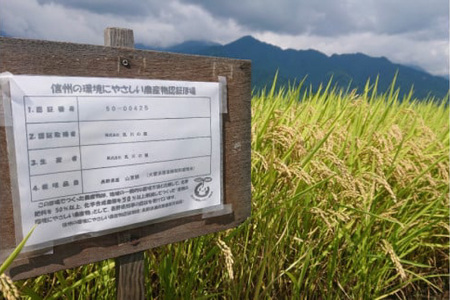 日本酒 飲み比べセット 大雪渓 安曇野 旨口トリオ 720ml 3本 セット [大雪渓酒造 長野県 池田町 48110826]