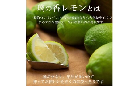 【先行予約】レモン 約5kg 12?25個〈2026年10月下旬?12月上旬頃発送〉  / 璃の香レモン 果物 くだもの 柑橘 フルーツ れもん お取り寄せ 産地直送 おいしい 美味しい 白木果樹園 常温 配送 高知県 高知 土佐市【白木果樹園】 [BQAI026]