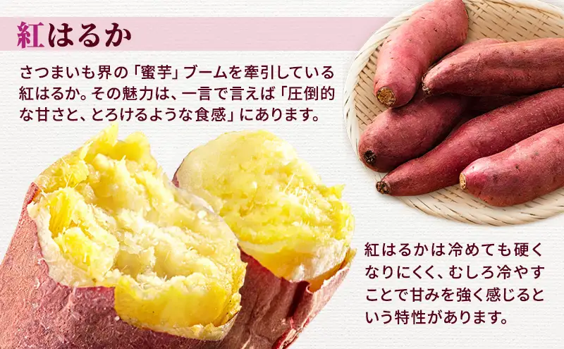 さつまいも 約10kg 紅はるか サツマイモ 宮城県産 甘い 秋 冬 スイーツ いも 産地直送 宮城県 大河原町