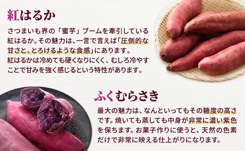 さつまいも 約10kg 2種詰合せ 紅はるか ふくむらさき サツマイモ 宮城県産 甘い 秋 冬 スイーツ 産地直送 宮城県 大河原町