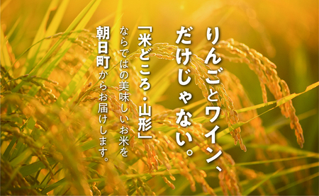 ミルキークイーン 5kg （1袋） 令和7年産 山形県 朝日町産 2025年産 精米 こめ コメ
