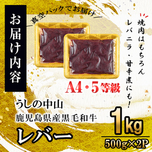 うしの中山 A4・A5等級黒毛和牛 レバー 1kg（500g×2P）黒毛和牛 和牛 肉 ホルモン 国産 九州産 鹿児島県産 焼肉 炒め物  牛レバー 冷凍 日本一 a5-346