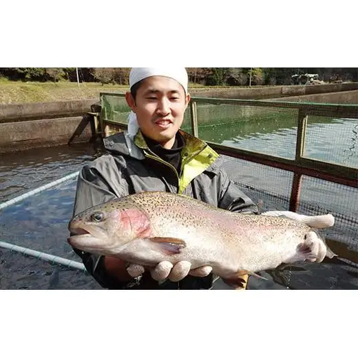 【定期便12回】産地直送栃木県のブランド魚「プレミアムヤシオマス」の切身セット 味噌漬、塩麹漬、刺身(生食用)| 国産 産地直送  [ 冷凍便 ] | 魚 ます 養殖 産地直送 栃木県 (毎月お届け）