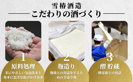 越乃雪椿 純米吟醸原酒 雪椿酵母仕込み Premium 720ml×1本 日本酒 新潟 酒