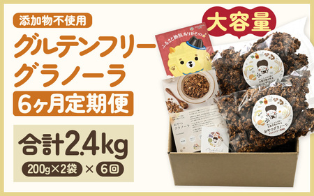 定期便 ≪6ヶ月連続お届け≫ おやつグラノーラ 大容量 大袋 2袋入り (200g×2袋) 添加物・白砂糖不使用 【オートミール アーモンド おから 小豆 おやつ 健康 栄養 ヨーグルト 牛乳 シリアル 朝ごはん 朝食 加工食品 小分け】 [F-12801]