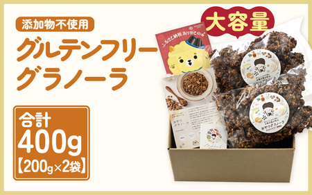 おやつグラノーラ 大容量 大袋 2袋入り (200g×2袋) 添加物・白砂糖不使用 【オートミール アーモンド おから 小豆 おやつ 健康 栄養 ヨーグルト 牛乳 シリアル 朝ごはん 朝食 加工食品 小分け】 [A-12845]