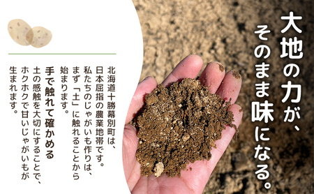 先行予約/2026年秋発送 北海道 十勝 幕別産 じゃがいも メークイン 約5kg 【横山農園】 野菜 根菜 食材 しっとり 崩れにくい 煮込み料理 炒め物 肉じゃが カレー シチュー 北海道のジャガイモ