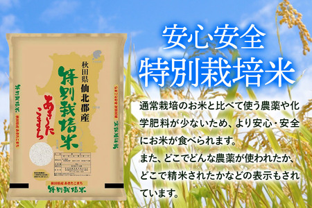 令和7年産 秋田県産特別栽培あきたこまち 5kg