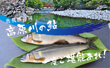高原川の天然若鮎の甘露煮 3匹 / 鮎  魚 川魚 もんじろう商店